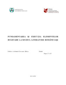 Fundamentarea și Execuția Elementelor Bugetare la Muzeul Literaturii Române Iași - Pagina 1