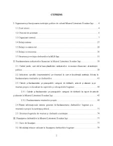 Fundamentarea și Execuția Elementelor Bugetare la Muzeul Literaturii Române Iași - Pagina 2