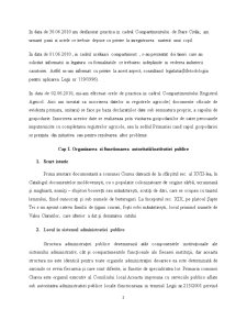 Caiet practică - Primăria Comunei Ciurea - Pagina 2