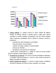 Analiza economico - financiară - Pagina 2