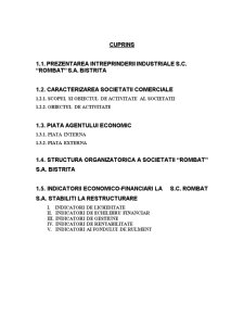 Control de gestiune - SC Rombat SA Bistrița - Pagina 1