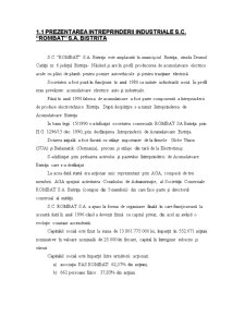 Control de gestiune - SC Rombat SA Bistrița - Pagina 2
