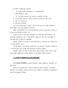 Control de gestiune - SC Rombat SA Bistrița - Pagina 4