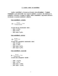 Analiza economico- financiară - SC Robena SA - Pagina 3