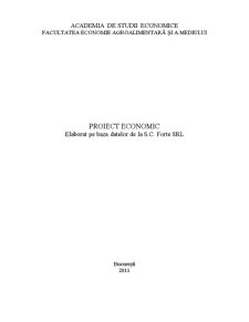 Proiect economic elaborat pe baza datelor de la SC Forte SRL - Pagina 1