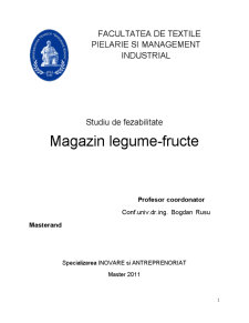 Studiu de Fezabilitate - Magazin Legume-fructe - Pagina 1