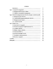 Metode de Management prin Obiective și Bugete, pe Centre de Profit - Pagina 3