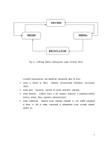 Factori de Influență a Sistemului Managerial - Pagina 3