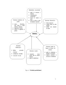 Factori de Influență a Sistemului Managerial - Pagina 5