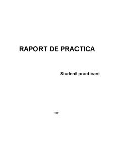 Raport de practică - SC Hidroelectrica SA - Pagina 1