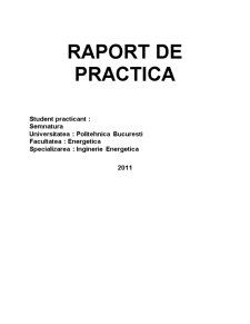 Raport de practică - SC Hidroelectrica SA - Pagina 2
