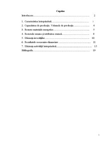 Planificarea unei secții de mezeluri cu productivitatea 3t pe schimb - Pagina 1