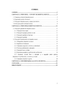 Principii ale Reglementării Raporturilor Juridice de Muncă - Pagina 2