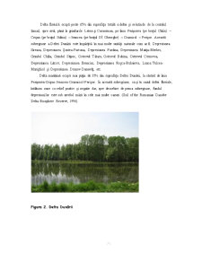 Turismul - factor de dezvoltare rurală în regiunea Delta Dunării - Pagina 5