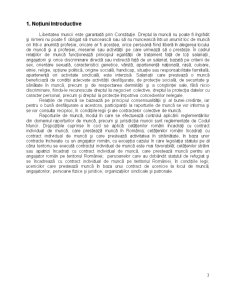 Organizare și Legislate în Domeniul Muncii - Pagina 3