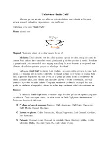 Plan de Afaceri Cafenea - Pagina 1