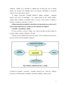 Managementul Calității Proiectelor - Pagina 3