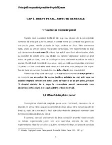 Principiile răspunderii penale în dreptul român - Pagina 5