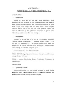 Analiză diagnostică la SC Hidroelectrica SA - Pagina 5