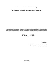 Sistemul logistic al unei întreprinderi agroalimentare - Betty Ice - Pagina 1