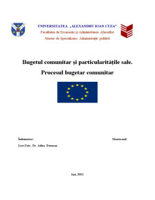 Bugetul comunitar și particularitățile sale - procesul bugetar comunitar - Pagina 1