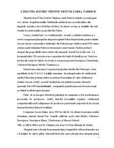 Raport Asconi SRL - Pagina 3