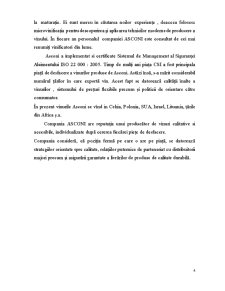 Raport Asconi SRL - Pagina 4