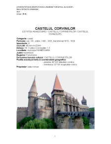 Castelul Corvinilor - Pagina 1