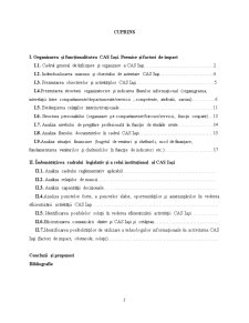 Studiu Aplicativ Privind Eficientizarea Activității CAS Iași - Pagina 2