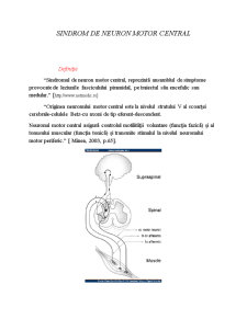 Sindrom de Neuron Motor Central - Pagina 1
