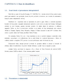 Analiza financiară a SC Dafora SA - Pagina 3