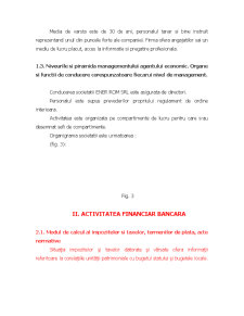 Caiet practică management la Ener Rom - Pagina 5