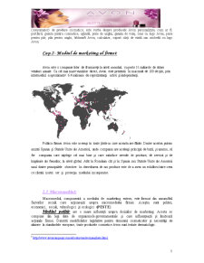 Marketing internațional - Avon - Pagina 5