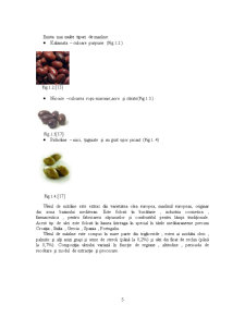 Determinarea Variației Vâscozității Uleiului de Măsline cu Temperatura - Pagina 5