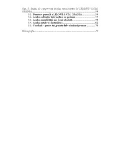 Analiza rentabilității la Lemnul SCM Oradea - Pagina 3