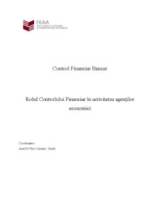 Rolul controlului financiar bancar în activitatea agenților economici - Pagina 1