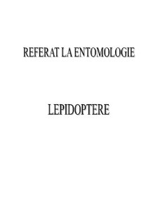 Lepidoptere - Pagina 1