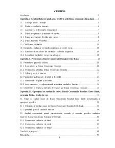 Analiza privind operațiunile cu carduri în practica Băncii Comerciale Române Erste Bank, sucursala Brăila - Pagina 1