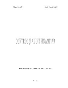 Control și Audit Financiar - Pagina 1