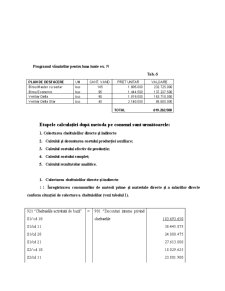 Studiu de caz privind metoda de calculație a costurilor pe comenzi la SC Delta SA - Pagina 4