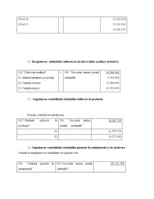 Studiu de caz privind metoda de calculație a costurilor pe comenzi la SC Delta SA - Pagina 5