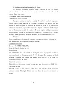 Sistemul Informatic - Contex - Pagina 4