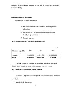 Lucrare practică - analiza financiară la SC Metaco Int SA - Pagina 5