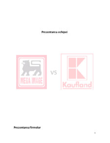 Analiza comparativă dintre Mega Image și Kaufland - Pagina 3
