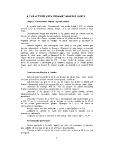 Amenajări pentru protecția solului - Pagina 3