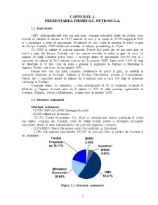 Diagnosticul Financiar al SC Petrom SA - Pagina 3