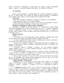 Diagnosticul Financiar al SC Petrom SA - Pagina 5