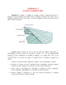 Sa se proiecteze sistemul de acționare electrică a flapsurilor pentru un avion de transport - Pagina 2