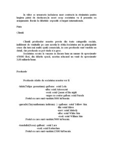 Programarea și organizarea activității pentru SC Madalin SA - Pagina 5