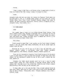 Amenajare teritorială Băile Felix și Băile 1 Mai - Pagina 3